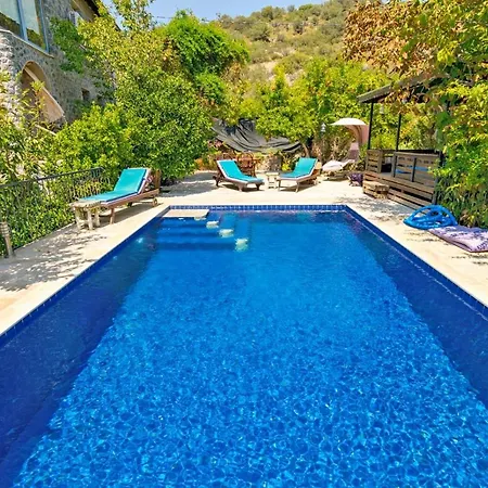 Lavanta Fethiye
