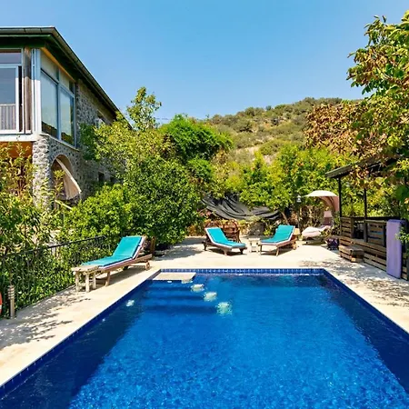 Lavanta Fethiye